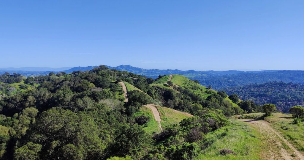Rolling green hills with clear blue skies.