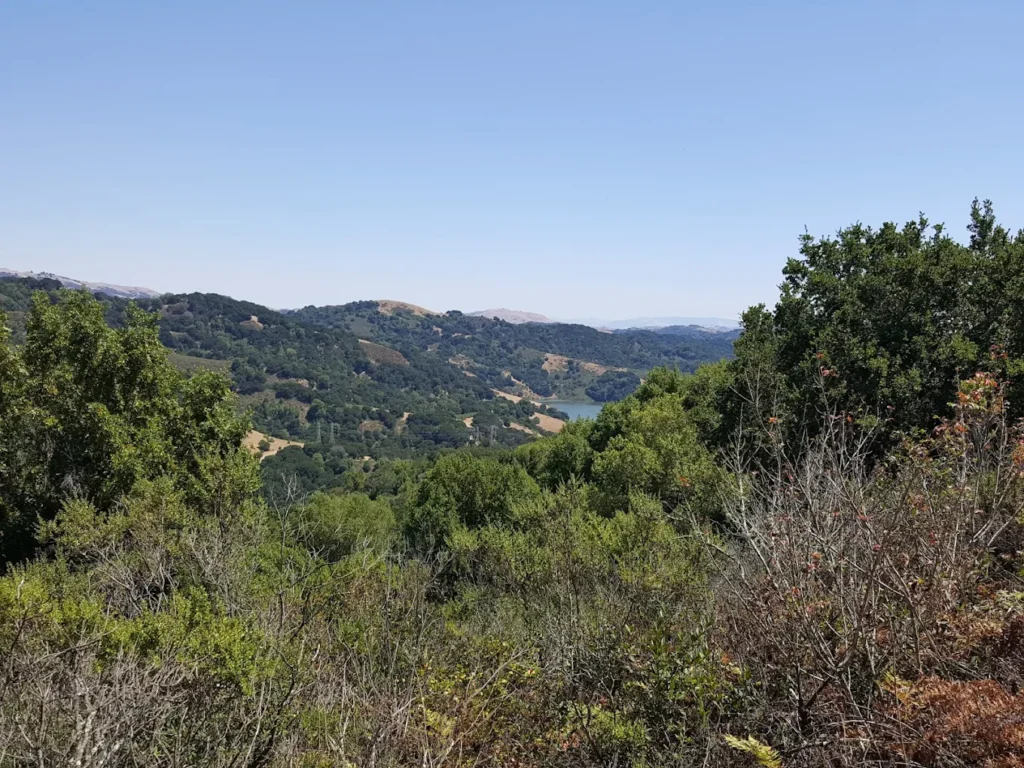 Rolling hills with lush greenery and clear skies.